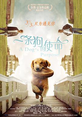 五月婷婷中文字幕