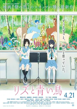 白上关花
