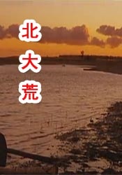 蝴蝶忍本子